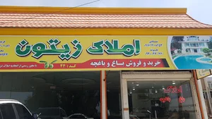 املاک زیتون