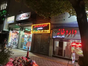 دکتر افسانه رادمهر 3