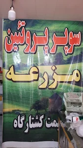مجید اسماعیلی