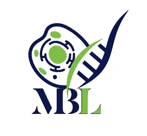 آزمایشگاه سلولی و مولکولی MBL