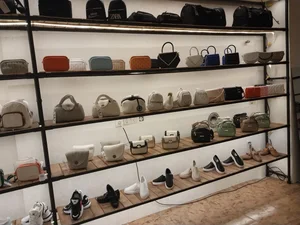 کیف و کفش کاکتوس 4