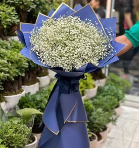 آرایشی بهداشتی فاطیما