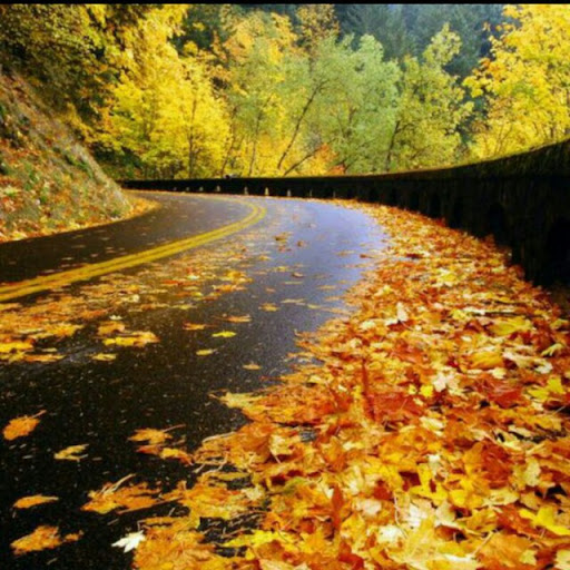 فروشگاه نامجو