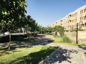 پارک حاشیه