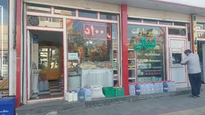 لبنیاتی دام