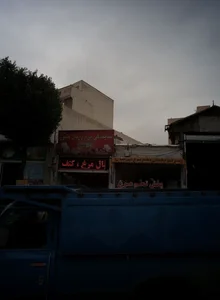 نمایندگی مرغ زربال طیور