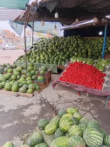 میوه فروشی شیردل 2