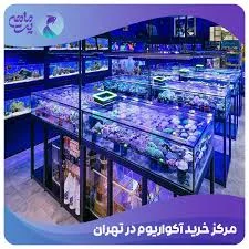 آکواریوم اسکار