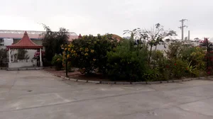 تالار سپید