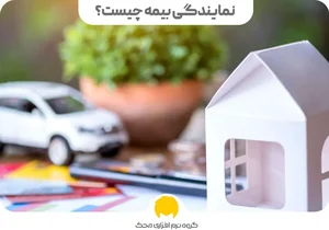 بیمه ایران نادری