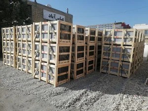 سنگبری شایان