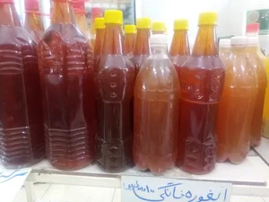 سبزیکده گل پونه 3