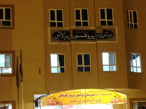 دبیرستان پروفسور پرویز کوشکی (فرهنگیان )