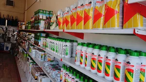 خدمات کشاورزی دکتر احمدی