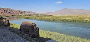 بوستان ساحلی