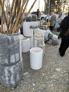 نمایشگاه گل و گیاه ارکیده