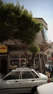 مواد پروتئینی نمونه