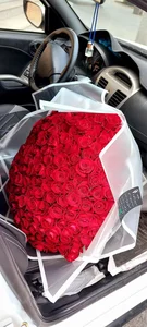 گلسرای آمالیس 3