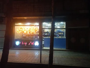 لوازم یدکی داریوش