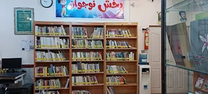 کتابخانه نظیری