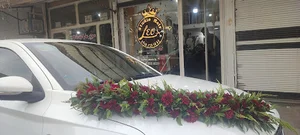 پیرایش مردانه لئو