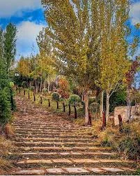 سوپرمارکت غفاری