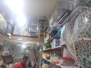 پرنده سرای حمید