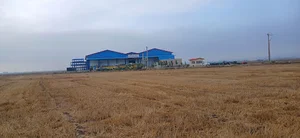 سردخانه امیران