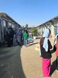 بازار پرندگان خلیج فارس 4
