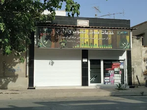 Zare Audio and video services