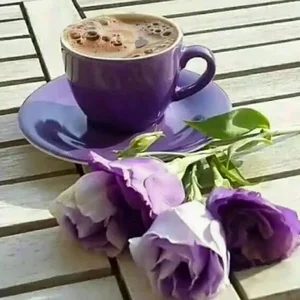 باغ مجالس آریانا