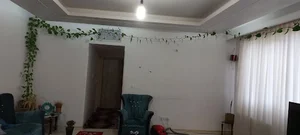 مبین