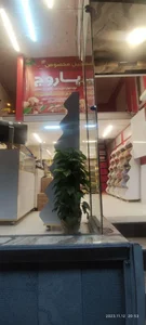آجیل و خشکبار باروج 2