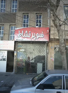 دکتر نسرین محقق فر 2