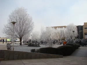 دانشگاه زنجان