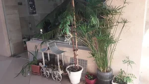 خدمات باغبانی حصاری 4