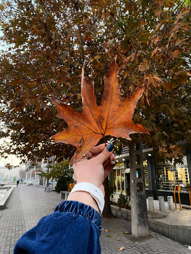 مرکز مشاوره شیما حافظ