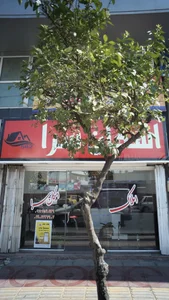 املاک اسکان سرا 2