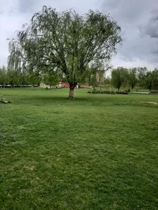 بوستان قائم 2
