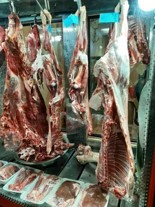 سوپر گوشت مسعود