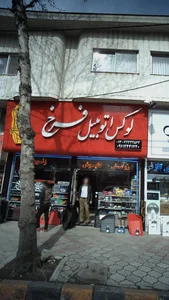 لوکس اتومبیل فرخ 3