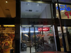 املاک دیپلمات