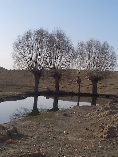 مدیریت جهاد کشاورزی شهرستان مهدیشهر