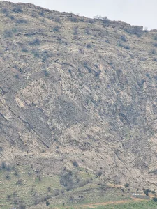 شتر سنگی لنده