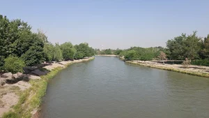 جاده سلامت