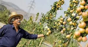 باغ عابس سهرابی