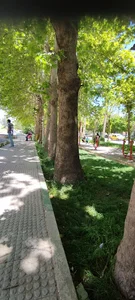 پارک صنایع
