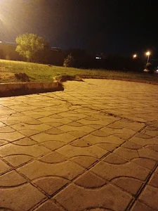 بوستان لاله ولادن