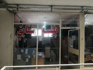 پلیسه شقایق