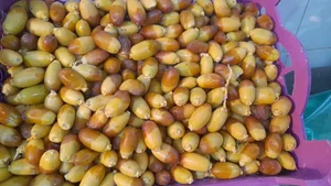 میوه و تره بار کیانی 2